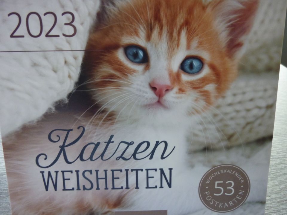 Postkarten 53 Stück "Katzen Weisheiten" in Merklingen