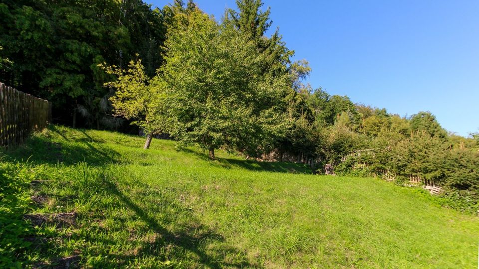 Doppelhaushälfte mit Weitblick in Waldrandlage von Unterbreizbach in Unterbreizbach