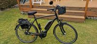 E Bike Hercules 28 zoll RH 60cm Königs Wusterhausen - Zeesen Vorschau