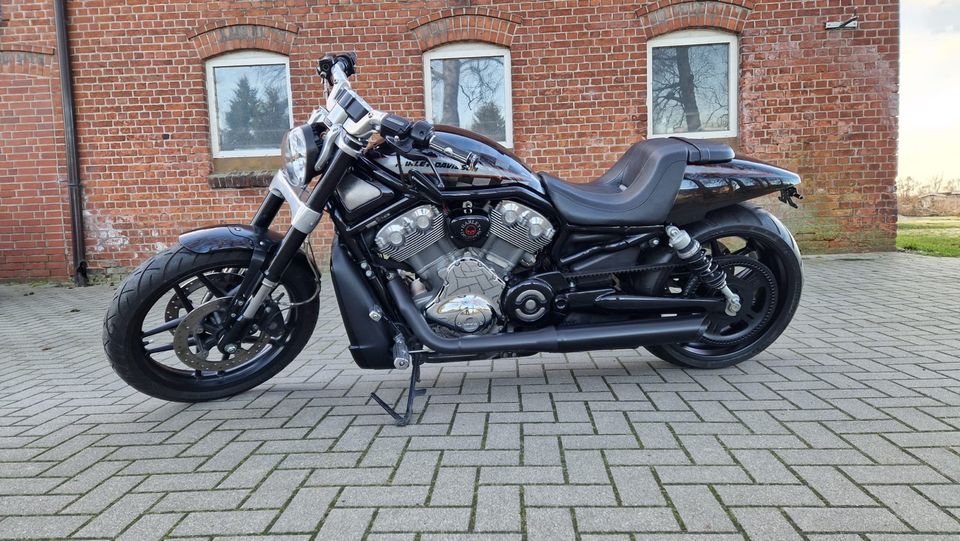 Harley Davidson Muscle / Night rod 280er 5HD in Hamburg