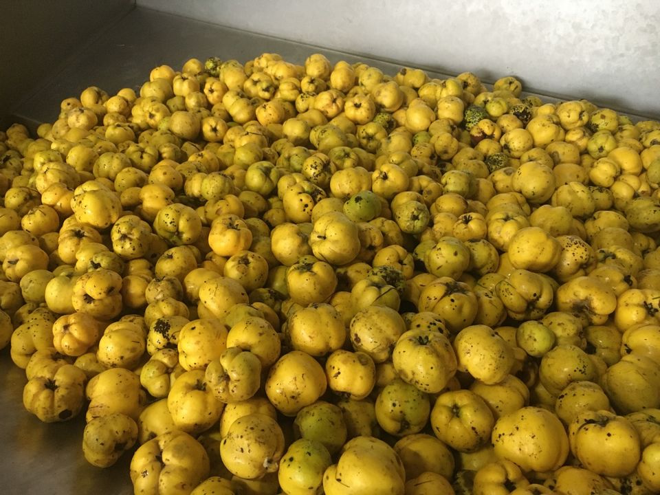 ❌ APFELSAFT Direktsaft Bag in Box Quittensaft Traubensaft in Gräfendorf