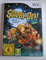 Nintendo Wii - Scooby-Doo! - Der Spuk im Sumpf Brandenburg - Potsdam Vorschau