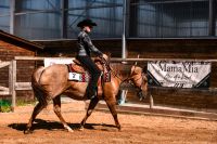 Pferd sucht Reiter Kr. Altötting - Töging am Inn Vorschau