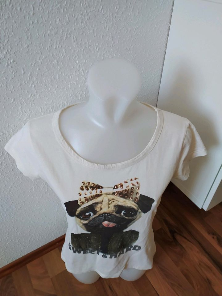 Shirt mit Mopsmotiv von Vestino Gr. 38 wie neu in Aschaffenburg