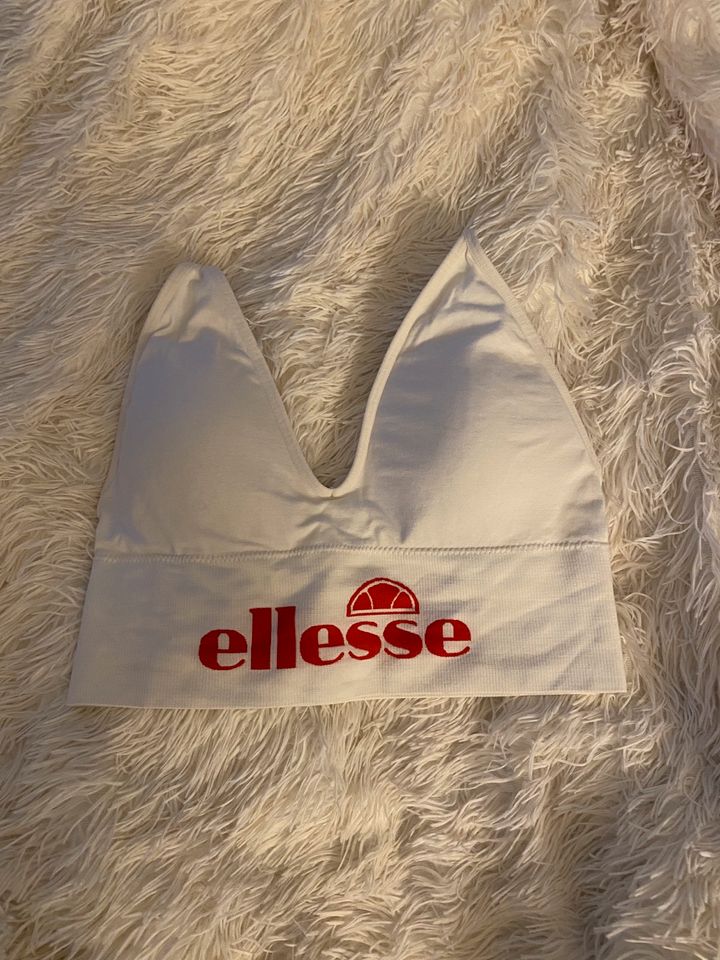 Nike Puma Adidas Ellesse Calvin Klein Playboy in Hildesheim