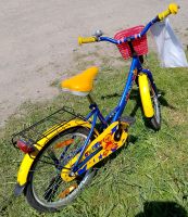 Fahrrad Kinder TEDDY 20 Zoll blau / gelb Sachsen - Lugau Vorschau