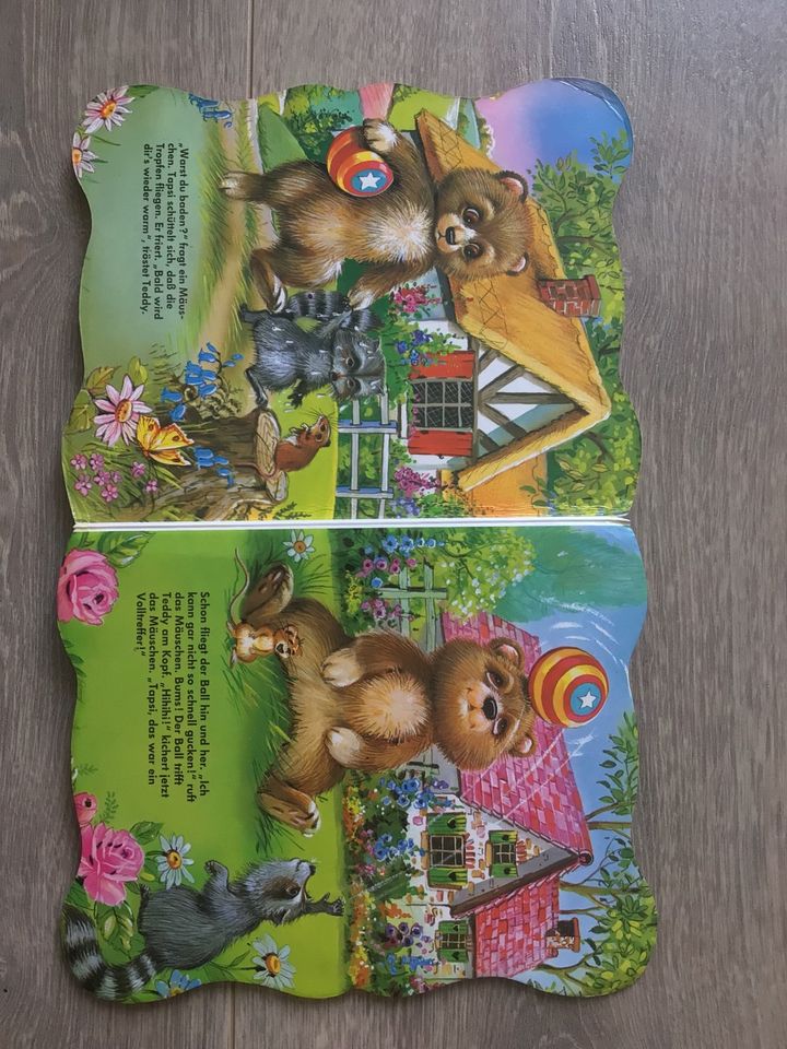Kinderbuch Teddy und der Ball in Mittweida