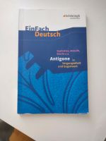 Antigone in Vergangenheit und Gegenwart Rheinland-Pfalz - Erpolzheim Vorschau