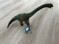 Schleich Saurier Brachiosaurus Langhals Neu unbespielt Rheinland-Pfalz - Mauchenheim Vorschau