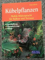 Kübelpflanzen - mobile Blütenpracht f. Balkon/Terrasse Baden-Württemberg - Obrigheim Vorschau