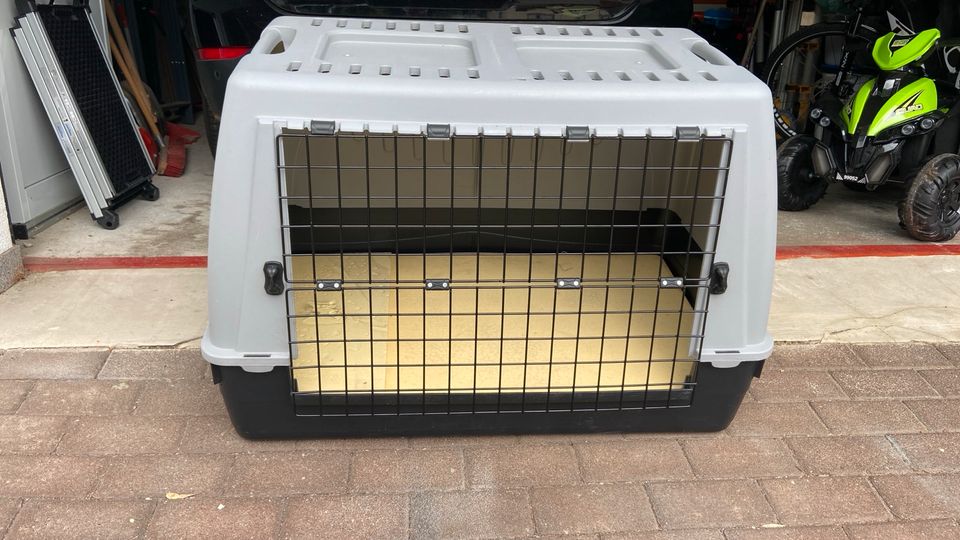 Transportbox Hund in Kaiserslautern