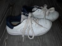 Kinderschuhe Geox Sneaker Gr.28 TOP Nordrhein-Westfalen - Paderborn Vorschau