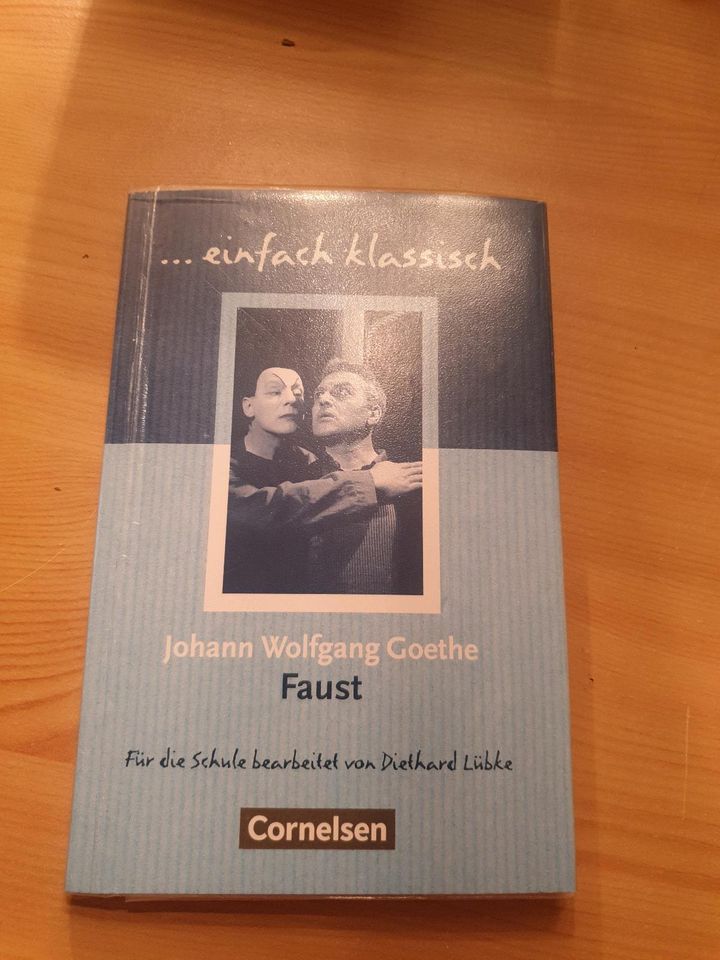 Schulbuch Faust eingeschlagen in Aschersleben