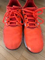 Adidas Youngstar Feldhockey Schuhe 37 1/3 Berlin - Rudow Vorschau