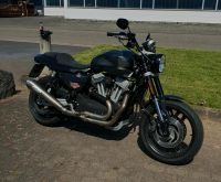 Harley Davidson Sportster XR 1200 Nordrhein-Westfalen - Sankt Augustin Vorschau