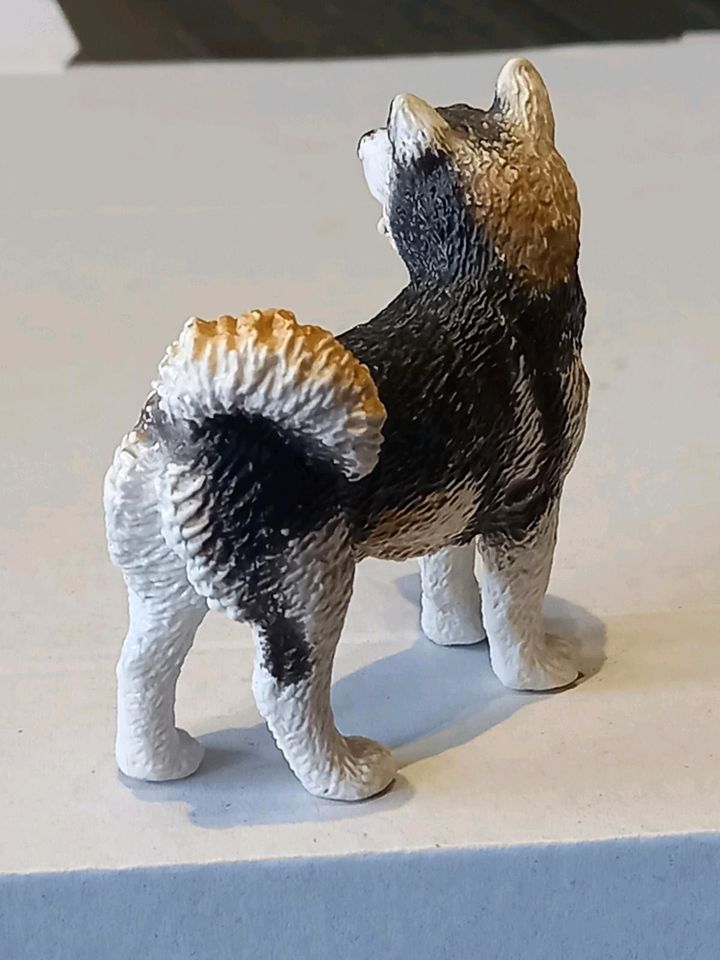 Schleich husky hund von 1995 im gutem Zustand in Glauchau