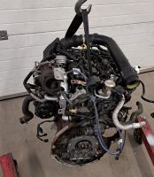 Motor Komplett Ford Focus,C-MAX M1DB 1.0 EcoBoost 125PS 37TKm Brandenburg - Küstriner Vorland Vorschau