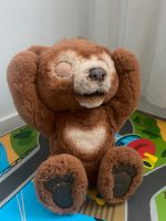 FurReal Teddybär Wandsbek - Hamburg Bramfeld Vorschau