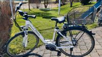 E-Bike Pegasus Premio E8R 50cm Rahmen Baden-Württemberg - Burladingen Vorschau