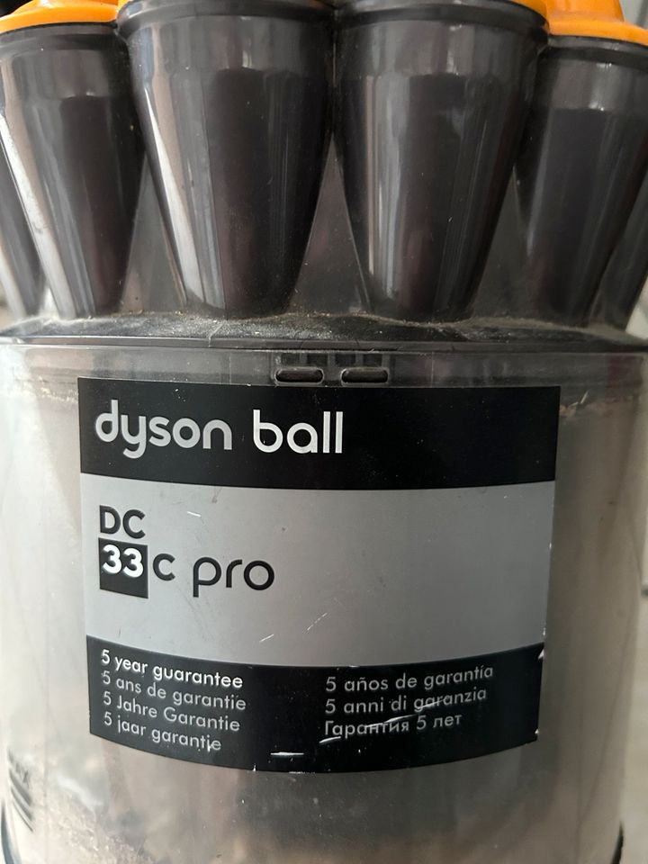 Dyson Ball (Bastler) in Neuenstein