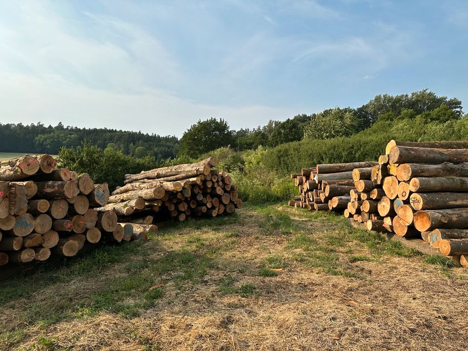 Brennholz ofenfertig sofort verfügbar in München