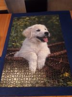 Puzzle "Hund" 1.000 Teile Nordrhein-Westfalen - Inden Vorschau