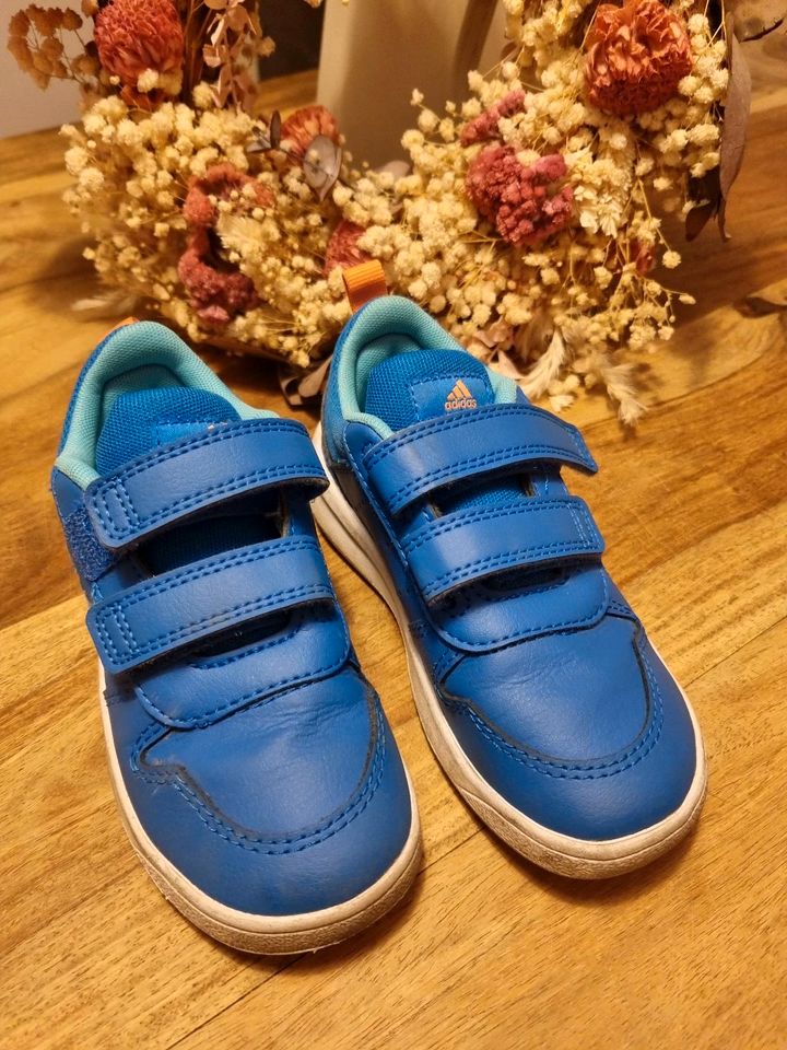 Adidas Sneaker in blau Gr. 26/UK 8,5 in Leipzig