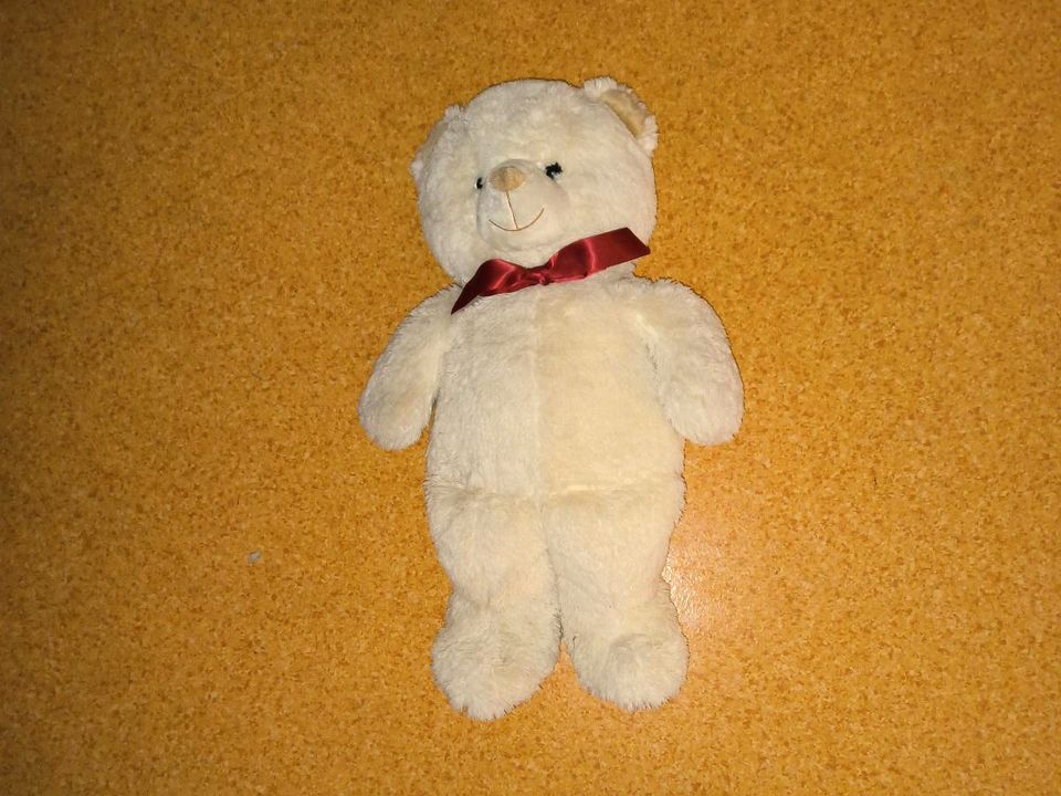 Weißen Teddybär in Marl