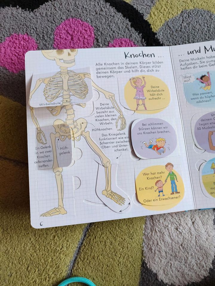 Kinderbuch Dein Körper in Chemnitz