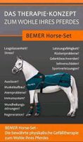 Bemer HorseSet zu vermieten Bayern - Lenggries Vorschau