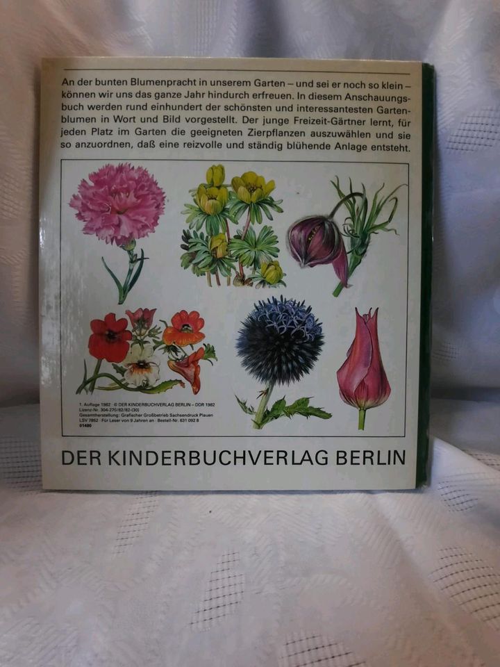 A.und K. Klopfer, Blumen im Garten, DDR in Essen