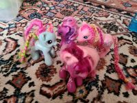 4 My little Pony Bayern - Ottobeuren Vorschau