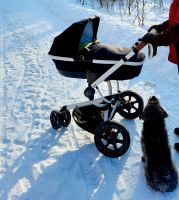 Quinny Kombi-Kinderwagen Moodd inkl. Maxi-Cosi Pebble Plus Hessen - Bad Karlshafen Vorschau