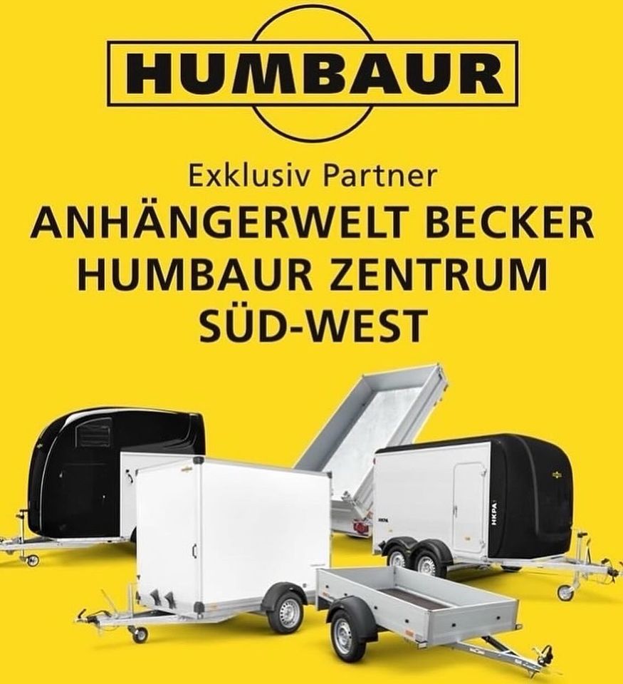 HUMBAUR Xanthos 2400, SK,‼️GRATIS Seitenpolster‼️, Pferdeanhänger in Biblis