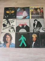 LP/Vinyl Konvolut Peter Maffay, Saga, Joachim Witt, Spliff, etc Hessen - Nauheim Vorschau