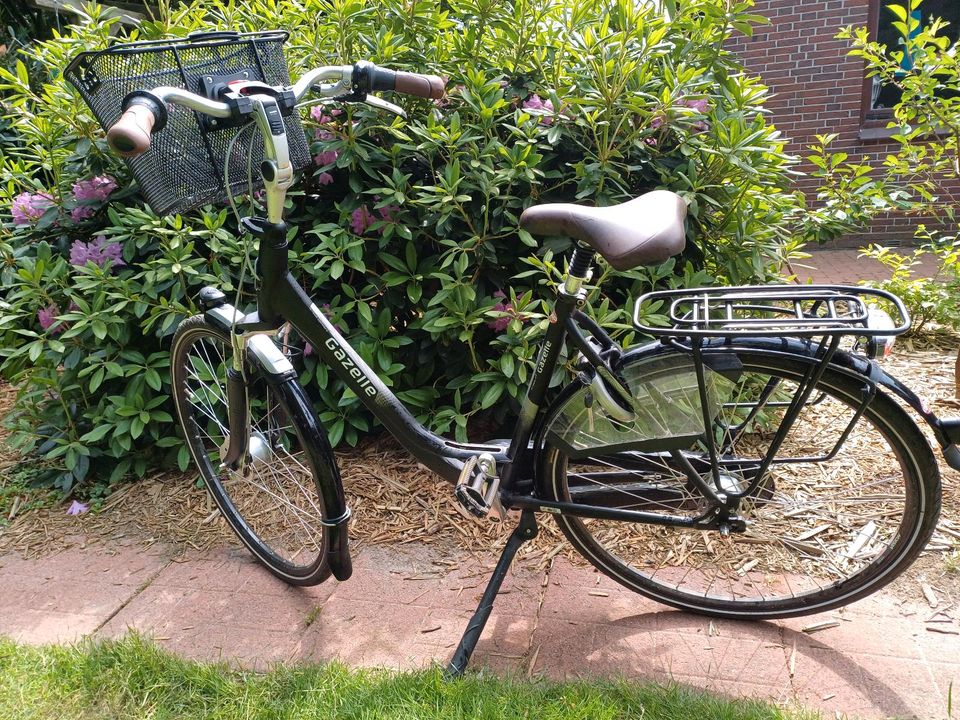 Damenfahrrad Gazelle Arroyo C7+, 28 Zoll in Rhauderfehn