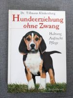 Hundeerziehung ohne Zwang - Haltung - Aufzucht - Pflege Sachsen - Lichtenau Vorschau