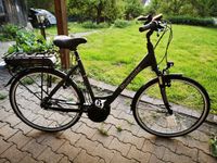 Riverside City Ebike Baden-Württemberg - Kirchentellinsfurt Vorschau