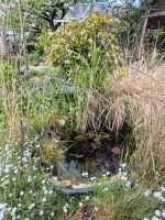 Gartenhelfer im Kleingewerbe Leipzig - Gohlis-Nord Vorschau