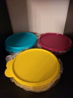 Tupperware 3 Bunte Frische Drops NEU Schleswig-Holstein - Bad Bramstedt Vorschau