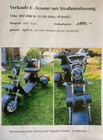 E-Scooter (Trike) mit Straßenzulassung Dresden - Seevorstadt-Ost/Großer Garten Vorschau