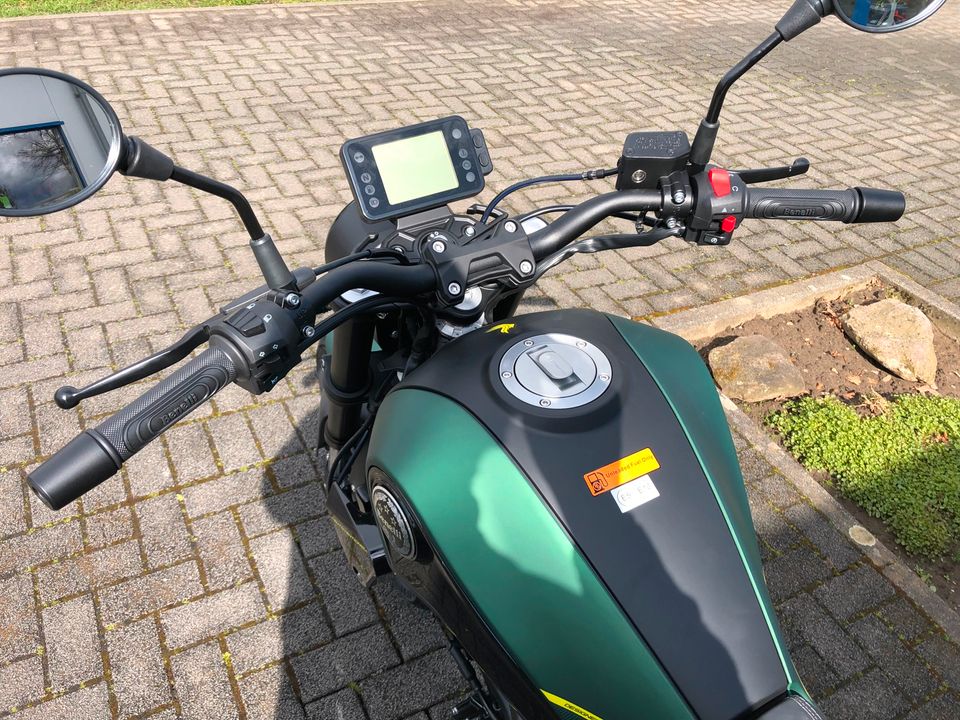 Benelli Leoncino 125 Euro Neufahrzeug in Dülmen