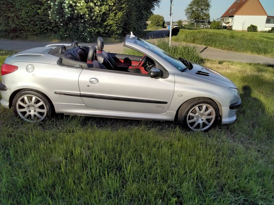 Cabrio Peugeot 206cc in Oedheim