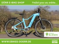 Flyer Goroc2 2.10 blau Gents, 95 Nm, 750 Wh Saarland - St. Wendel Vorschau