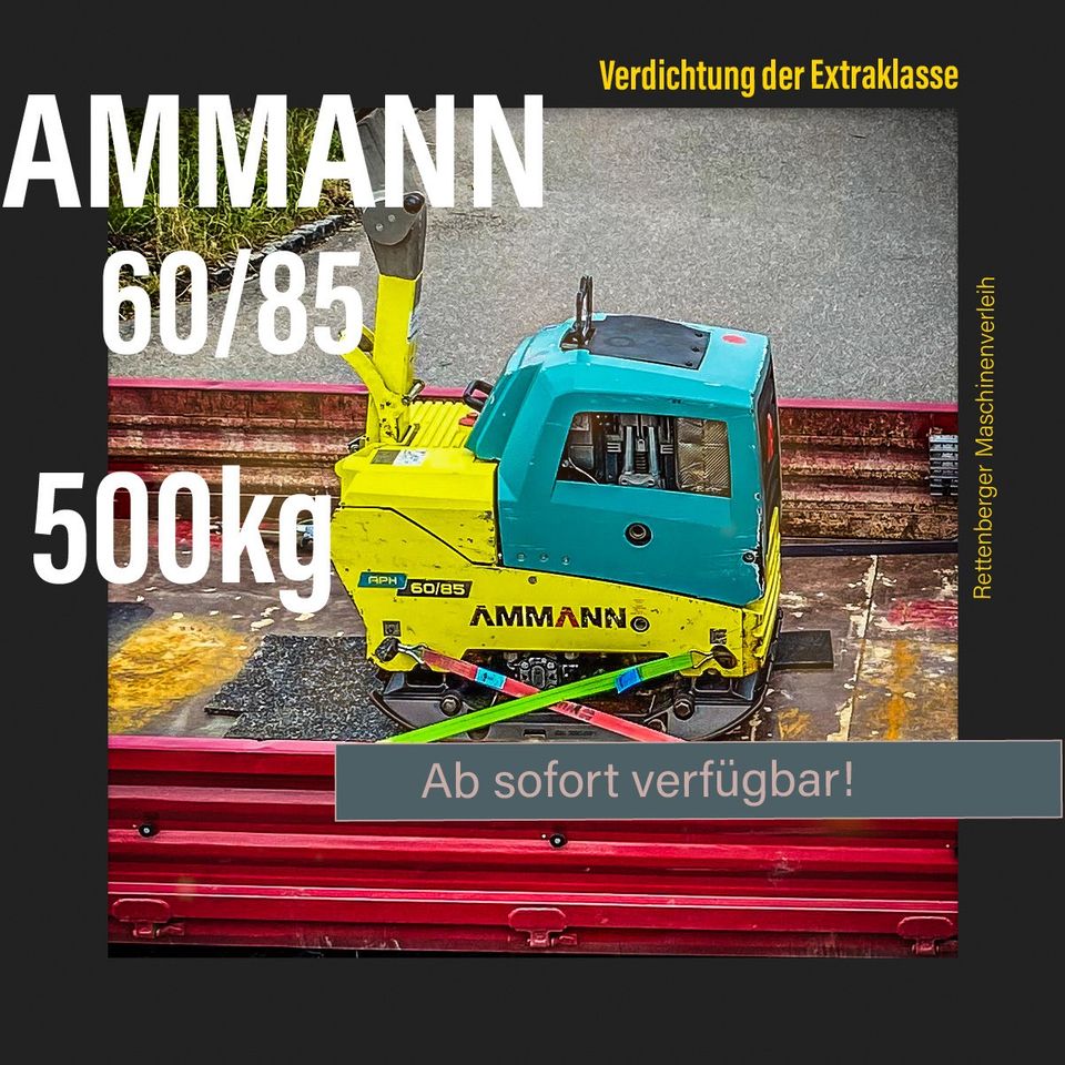 AMMANN 500kg Rüttelplatte mieten! in Rettenberg