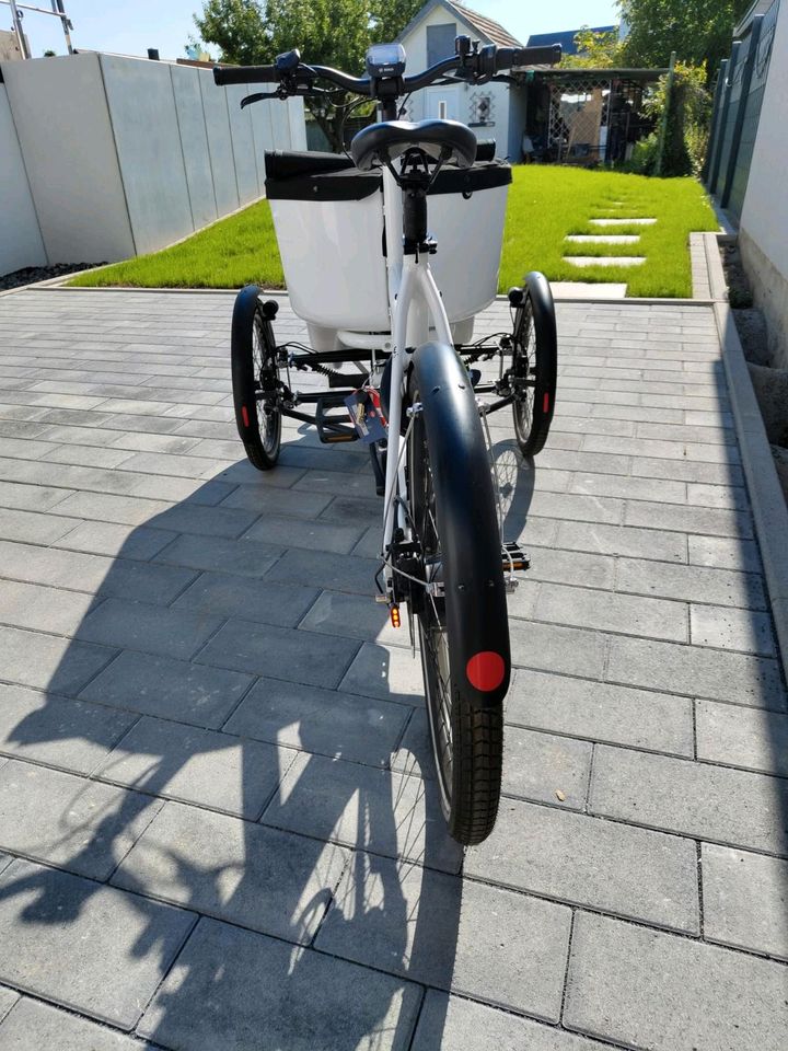 Lastenrad Lastenfahrrad Butchers Bicycle MK1-E in Karlsruhe