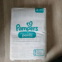 Windeln Pampers Premium protection pants Größe 5 Schleswig-Holstein - Tarp Vorschau