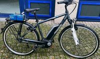Pegasus E-Bike Solero E7R R:48cm wie NEU NP:2299€ Friedrichshain-Kreuzberg - Kreuzberg Vorschau