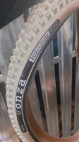 NEU! 1x Onza Reifen Porcupine 29Zoll weiss E-Bike Mountainbike Baden-Württemberg - Tuttlingen Vorschau