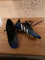 Fußballschuhe Adidas Predator Bayern - Effeltrich Vorschau